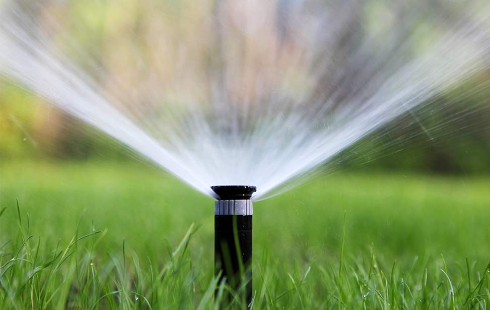 sprinkler sprinkler